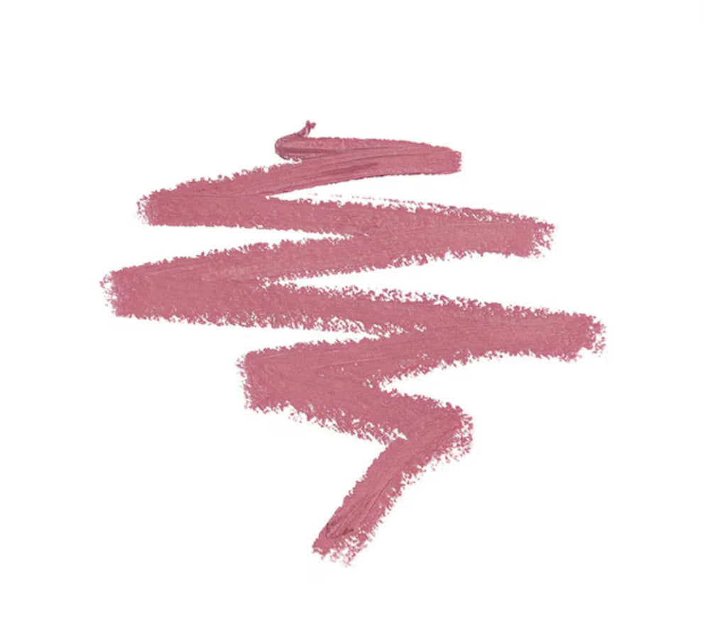 Diego dalla Palma plum&fill lips n191